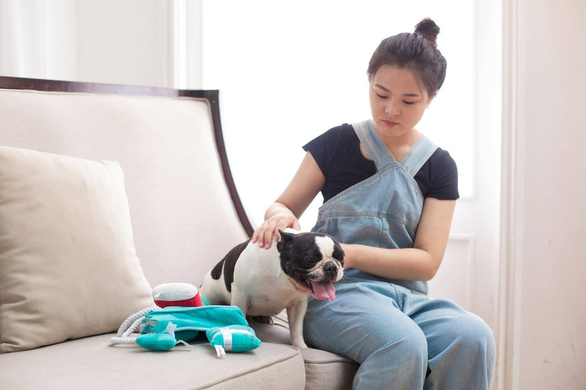 ソファに座り、犬をやさしくなでる女性