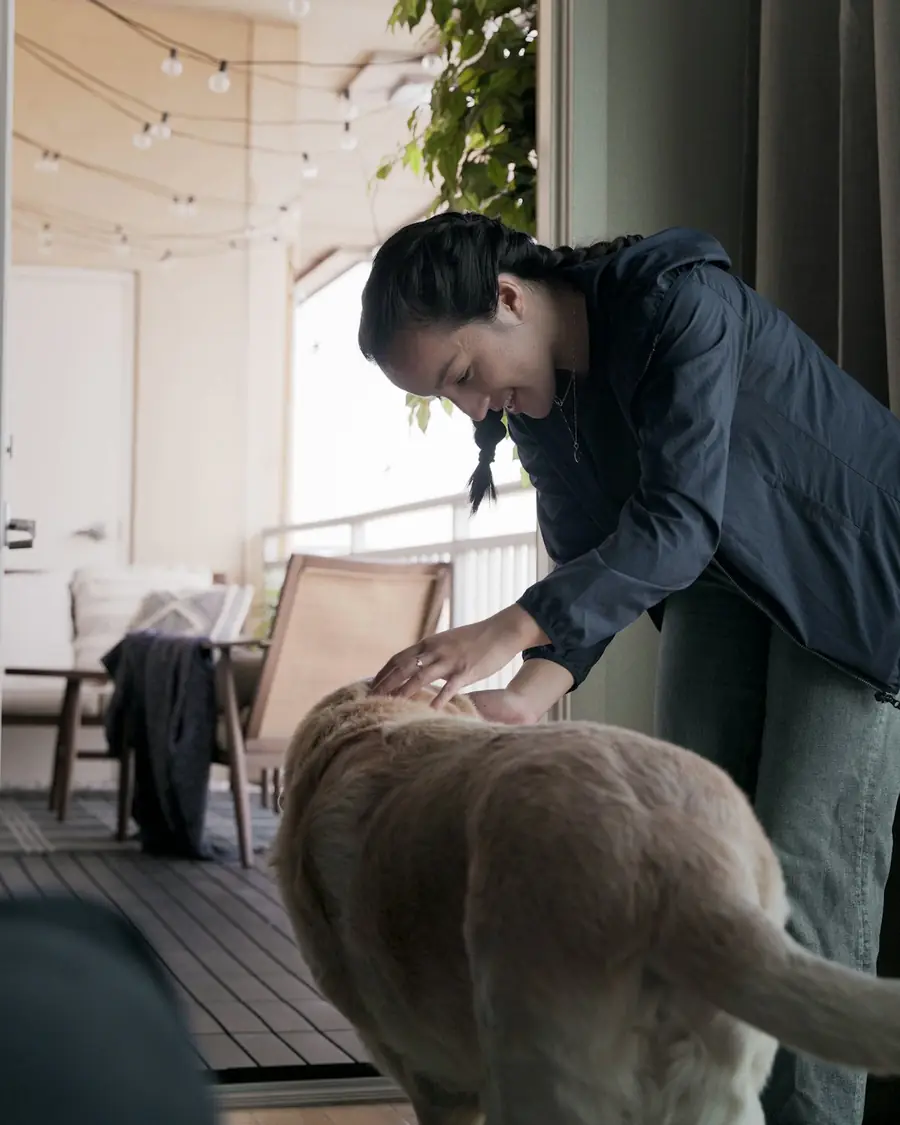 室内で大型犬をなでるシッター