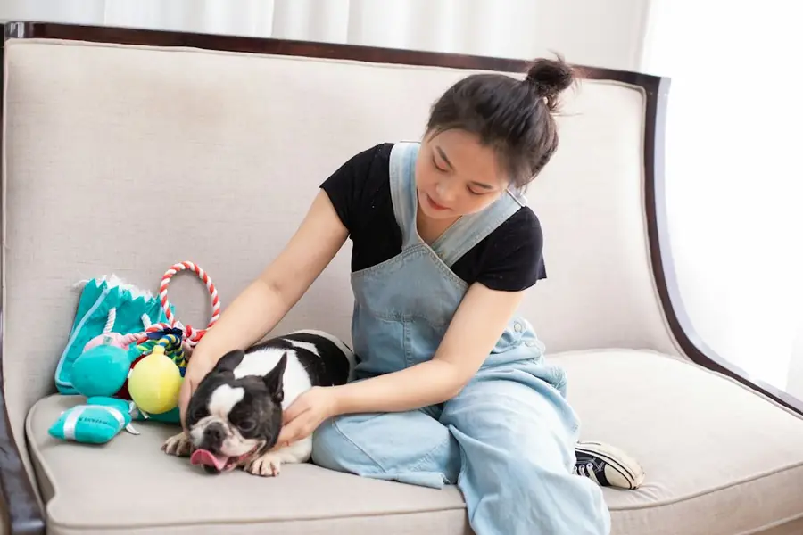 ソファでシッターに寄りかかる犬